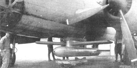 ki147-ki67.jpg