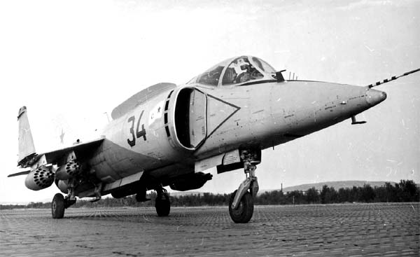 yak38-2.jpg