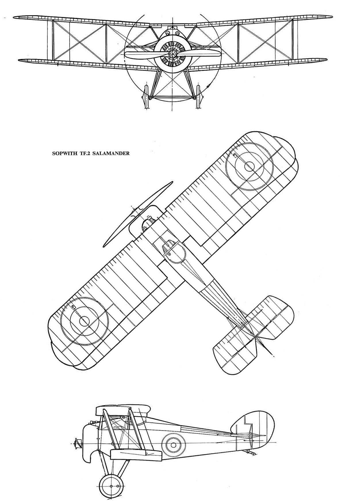 http://www.airwar.ru/image/idop/bww1/salamander/salamander-1.gif