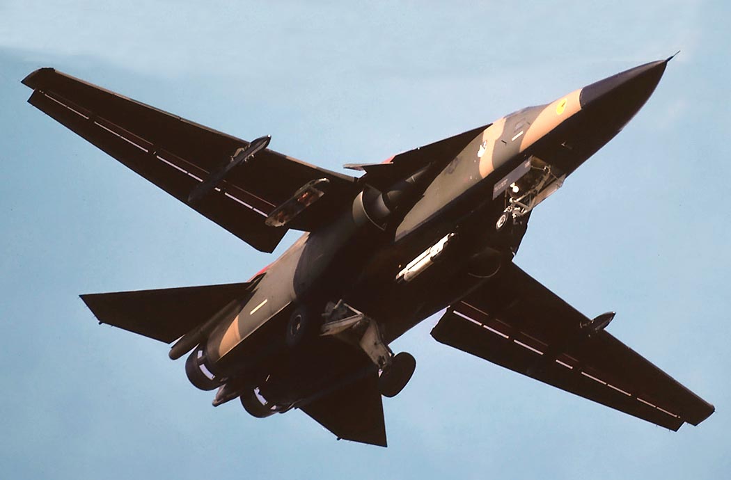 Eduard 1/72 F-111D/F Aardvark # SS175 