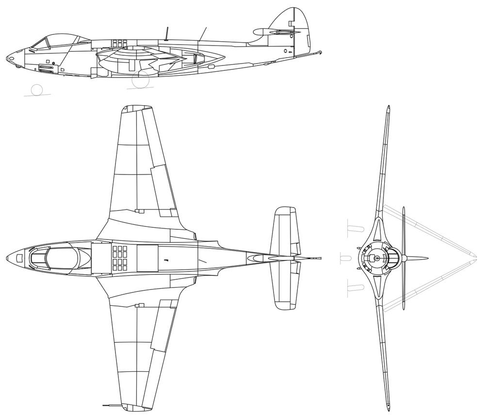 seahawk1-1.gif
