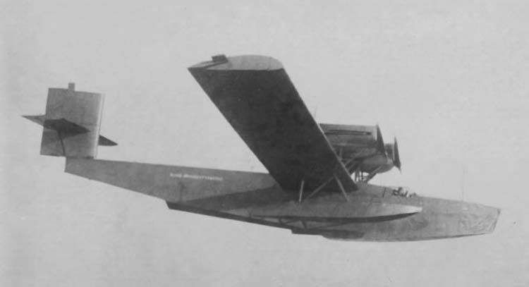 Rohrbach Ro II в полете