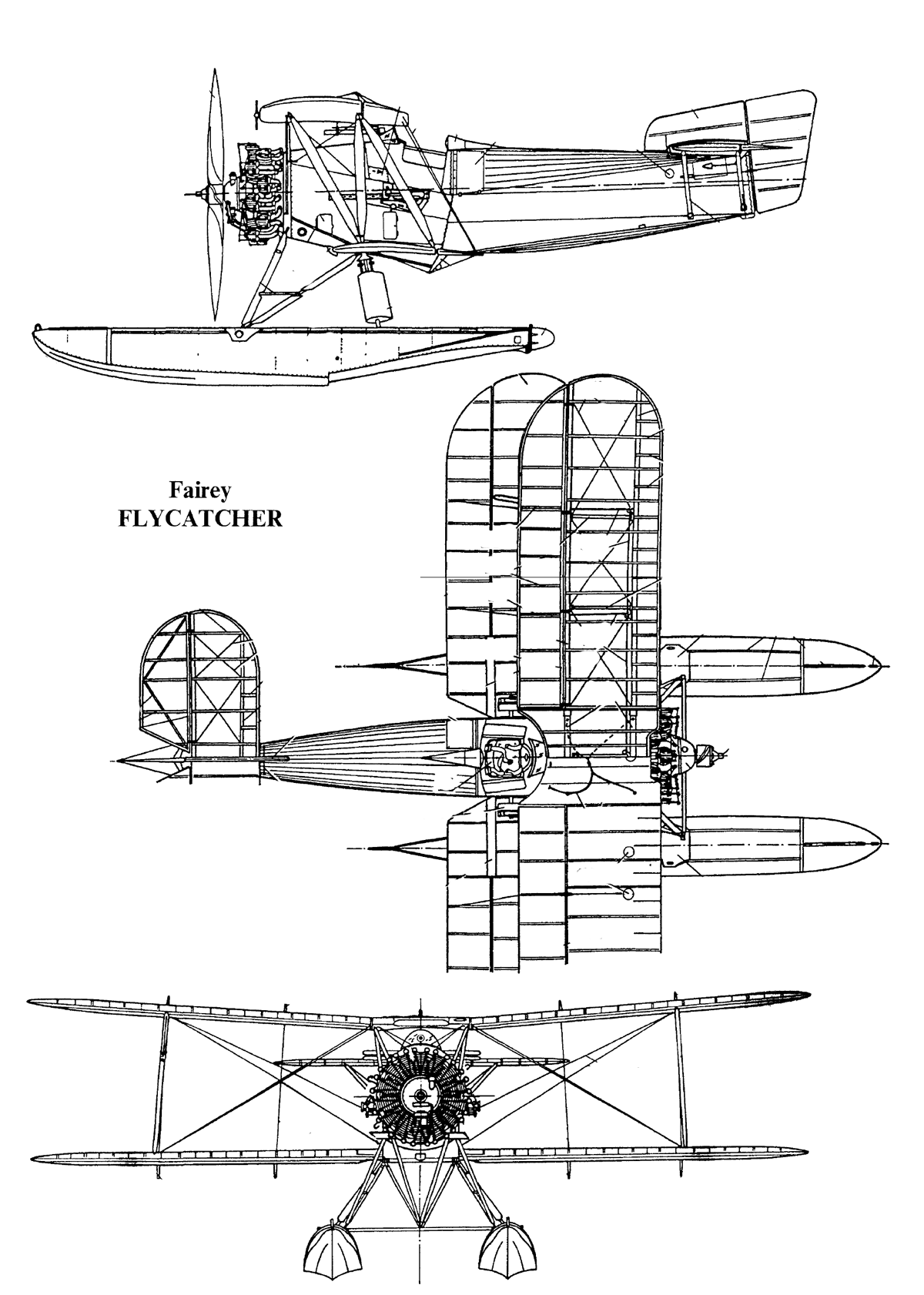 flycatcher-2.gif