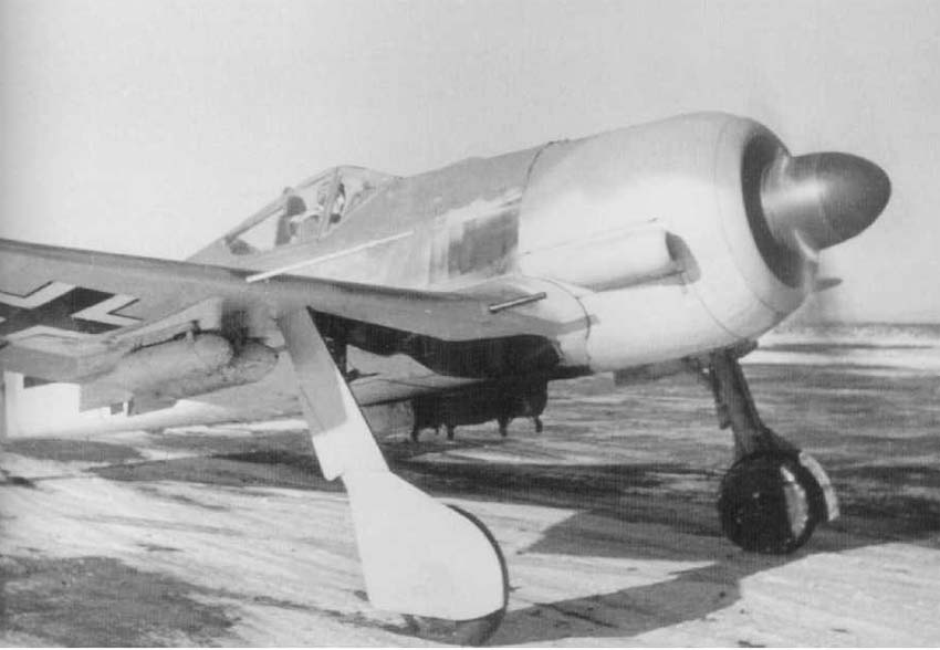 Image result for Fw190 F3
