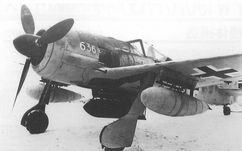 fw190g1-2.jpg