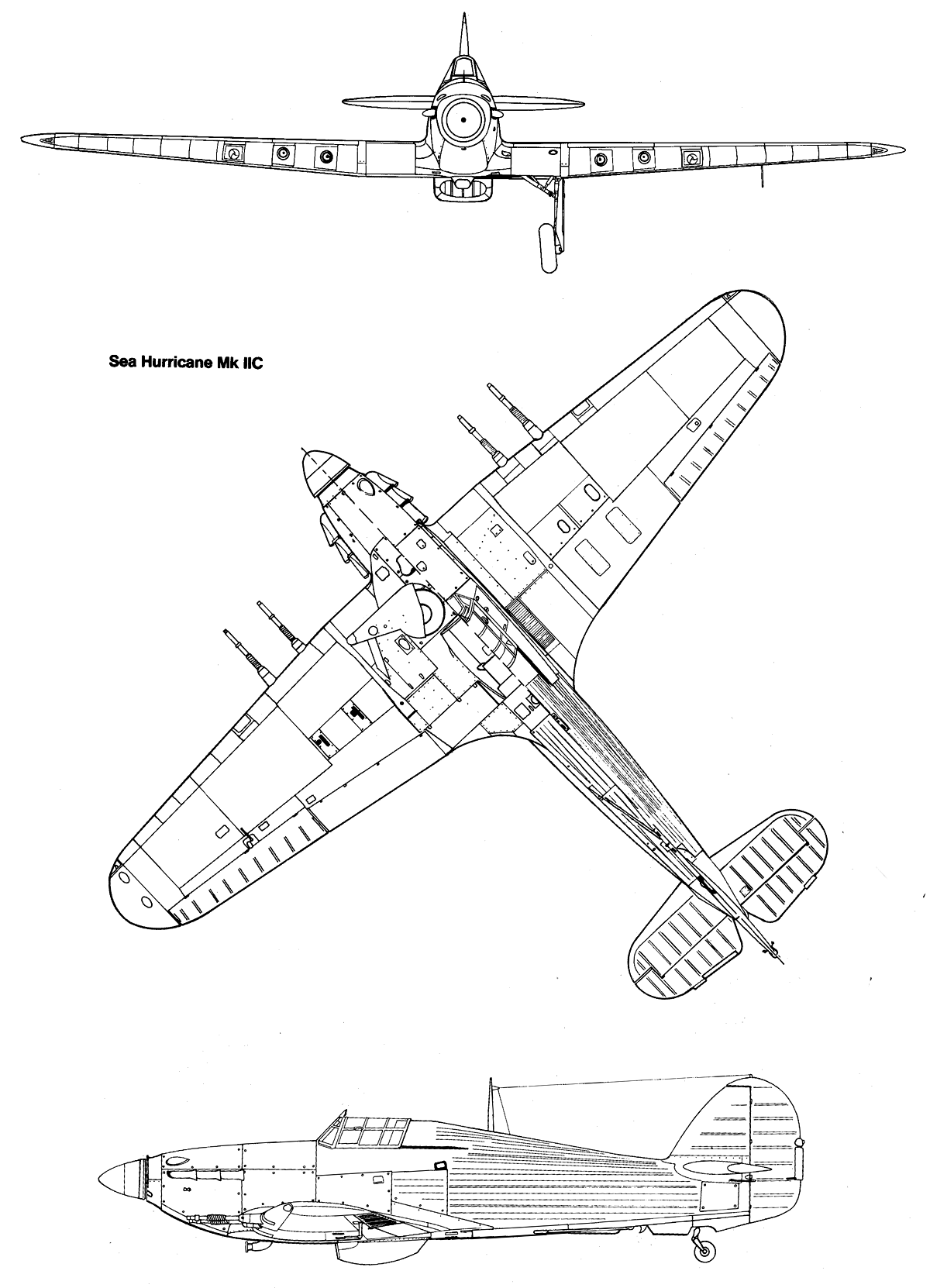 shurr-1.gif