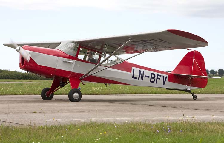 Wiener auster bilder