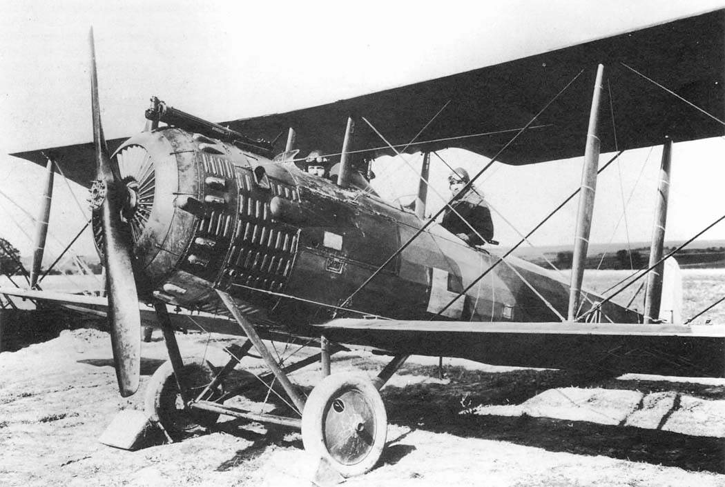 http://www.airwar.ru/image/idop/other1/salmson2/salmson2-10.jpg