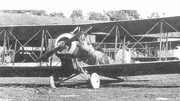 http://www.airwar.ru/image/i/aww1/salmson4-i.jpg