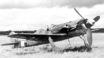 http://www.airwar.ru/image/i/fww2/fw190d13-i.jpg