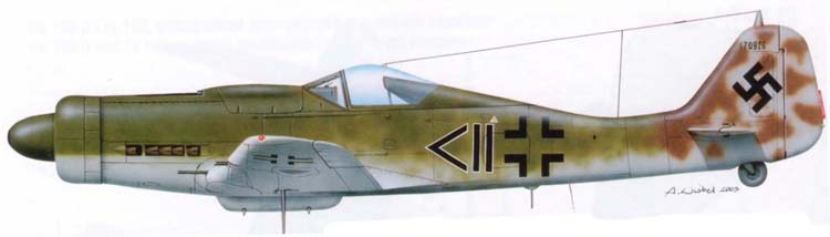 http://www.airwar.ru/image/idop/fww2/fw190d10/fw190d10-c1.jpg