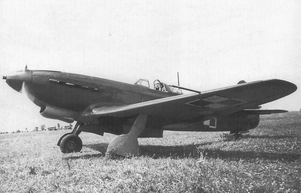 http://www.airwar.ru/image/idop/fww2/yak9m/yak9m-8.jpg